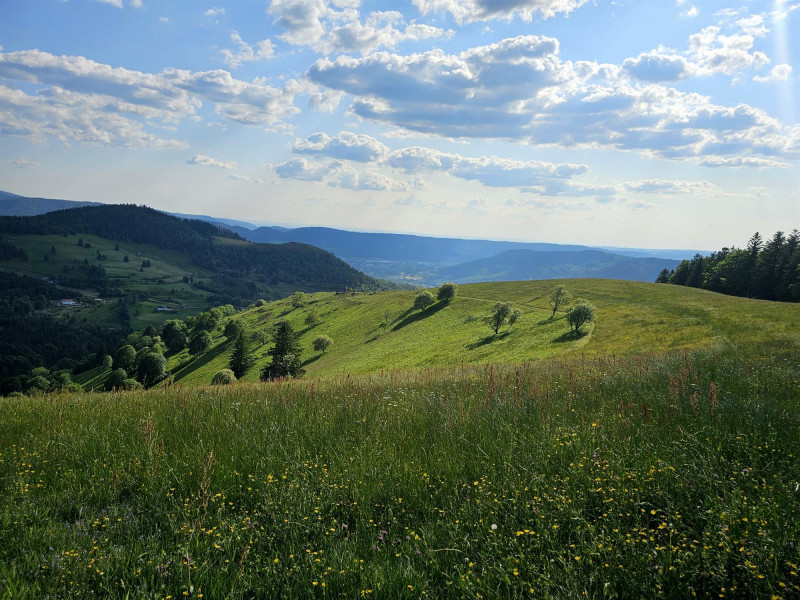 circuit-trail6-la-lochere-2