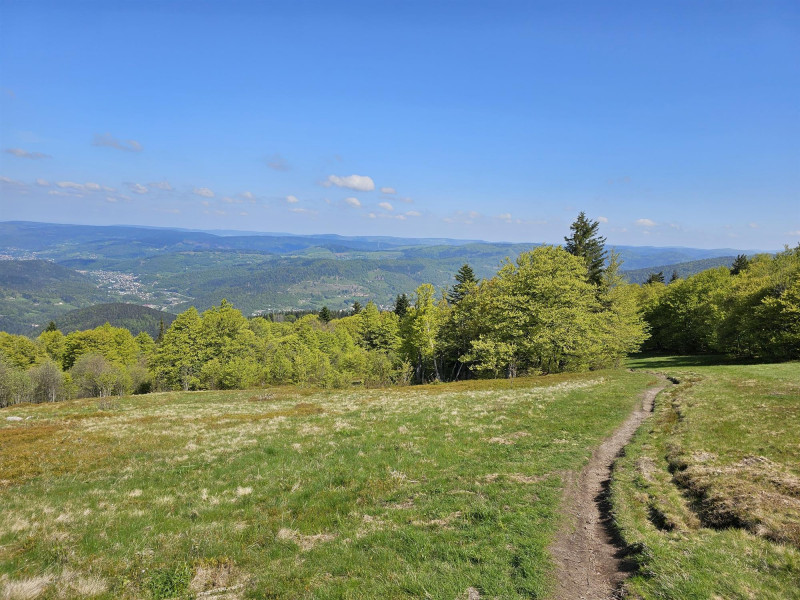 circuit-trail8-ballon-alsace circuit-trail8-ballon-alsace