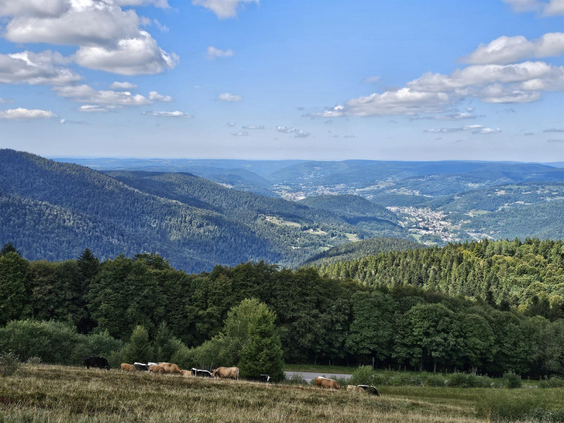 circuit-trail8-ballon-alsace-10 circuit-trail8-ballon-alsace-10