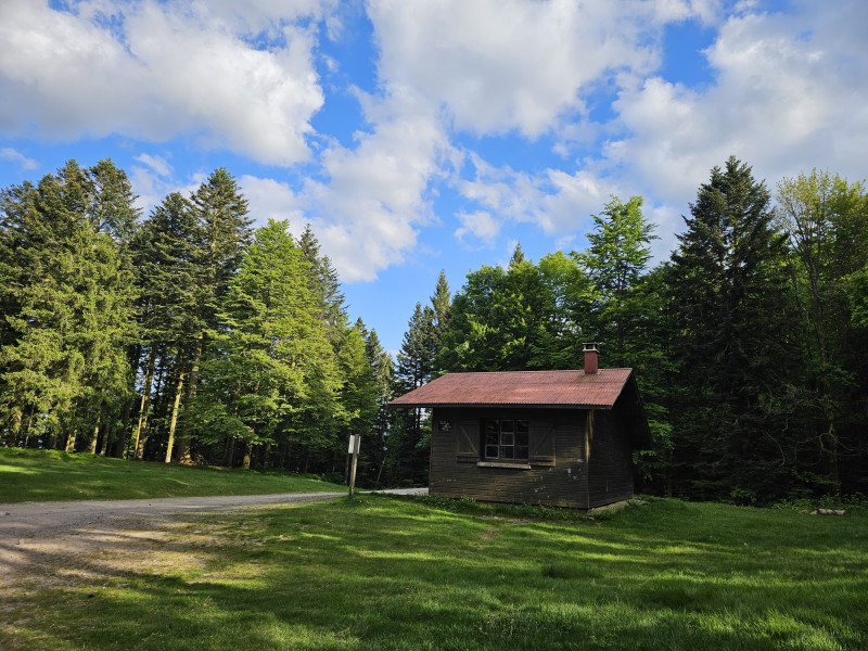 circuit-trail10-la-ptite-trotte-des-hautes-vosges-10