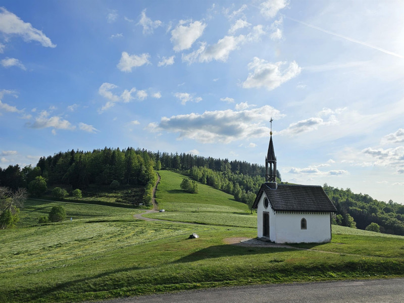 circuit-trail10-la-ptite-trotte-des-hautes-vosges-2
