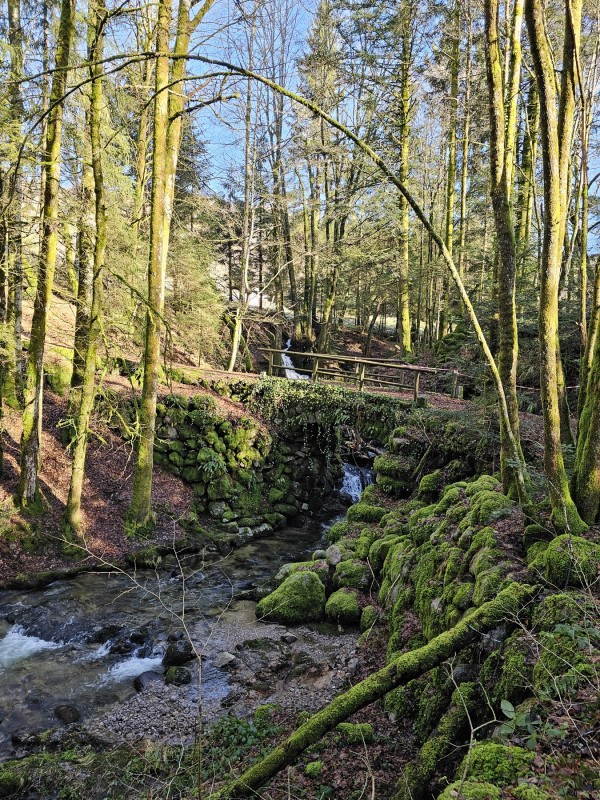 74circuit-trail11-la-tete-des-corbeaux-10 74circuit-trail11-la-tete-des-corbeaux-10