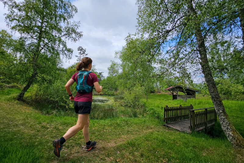 circuit-trail12-le-tour-des-cretes-6 circuit-trail12-le-tour-des-cretes-6