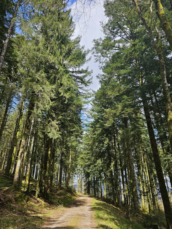 circuit-trail13-maratrail-2 circuit-trail13-maratrail-2