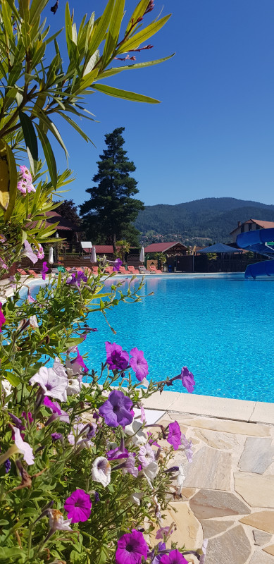 camping-les-deux-ballons-st-maurice-sur-moselle-8 camping-les-deux-ballons-st-maurice-sur-moselle-8