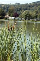 753000551_3 753000551_3