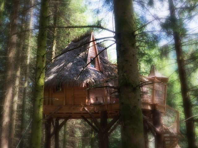 clairiere-aux-cabanes-la-bresse-2 clairiere-aux-cabanes-la-bresse-2