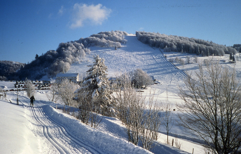 745000065_6 745000065_6