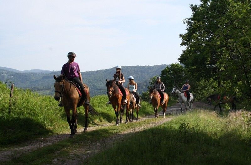 ecole-equitation-du-closel ecole-equitation-du-closel