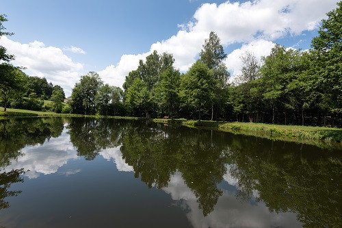 peche-en-etangs-2 peche-en-etangs-2