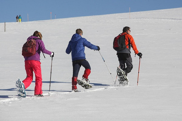 745003047_4 745003047_4