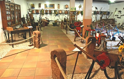 cave-du-vieil-armand-3