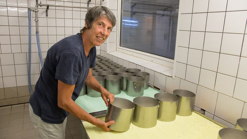 gaec-du-vacceux-2 gaec-du-vacceux-2