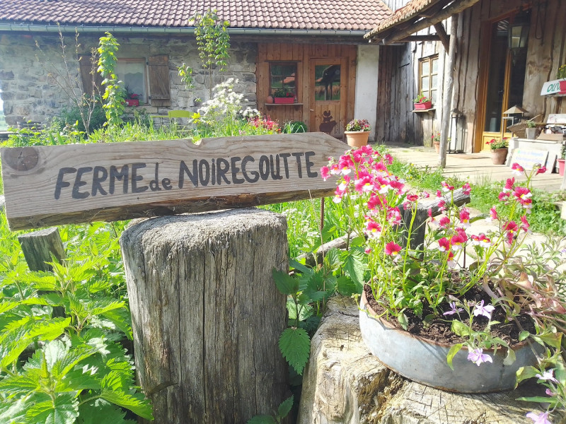 ferme-de-noiregoutte-fresse-sur-moselle-6 ferme-de-noiregoutte-fresse-sur-moselle-6