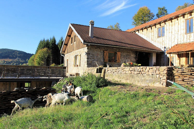 ferme-de-noiregoutte-fresse-sur-moselle ferme-de-noiregoutte-fresse-sur-moselle