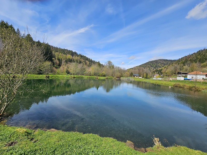 peche-etang-de-morteville peche-etang-de-morteville