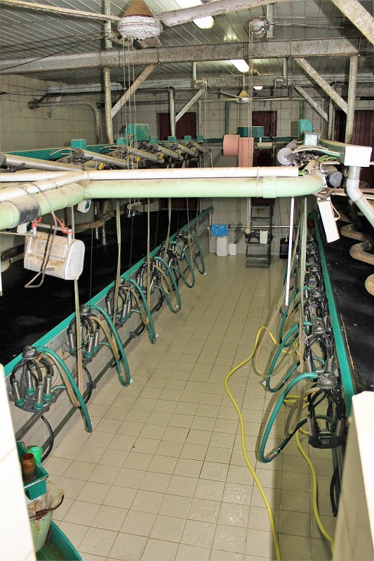 ferme-du-houtrou-5