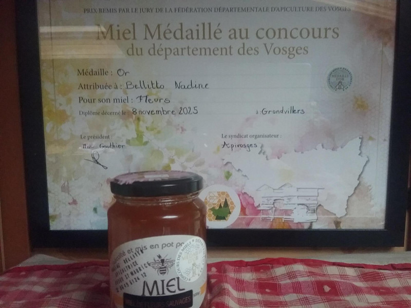 le-rucher-de-nanou-6bis le-rucher-de-nanou-6bis