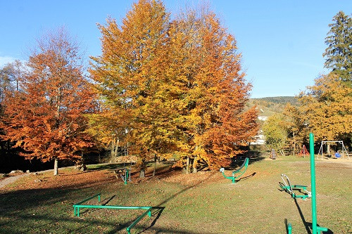 zone-de-loisirs-berges-de-la-moselle-7