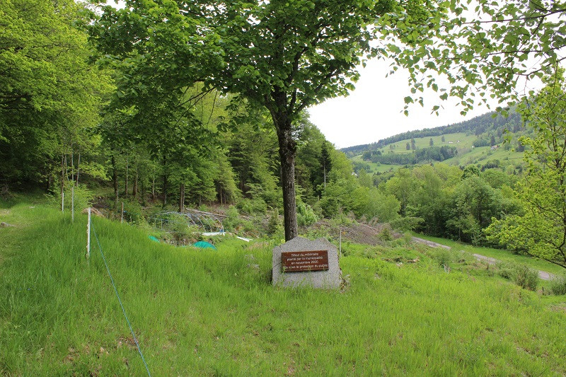 parcours-de-sante-le-menil-2