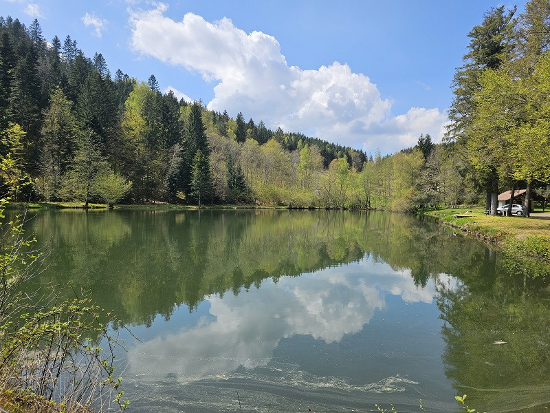 peche-etang-du-frac-2 peche-etang-du-frac-2