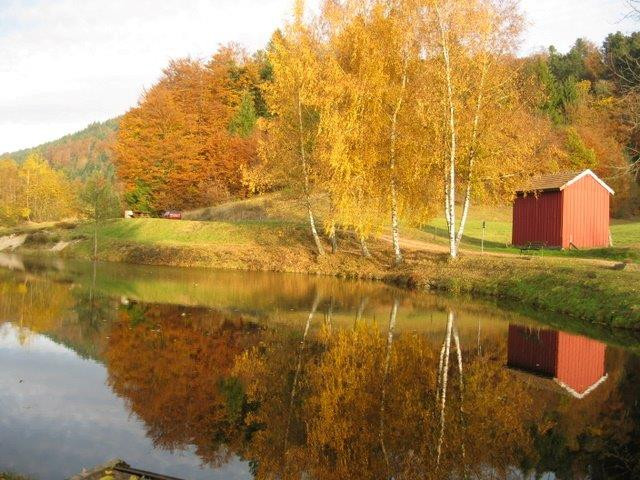 peche-etang-des-fenesses-2 peche-etang-des-fenesses-2