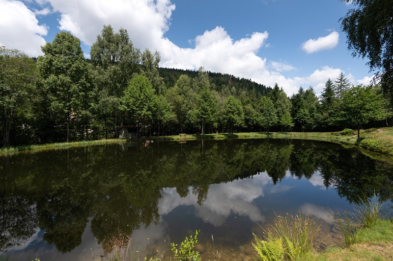 peche-etangs-aiguier-et-lamboley-2 peche-etangs-aiguier-et-lamboley-2