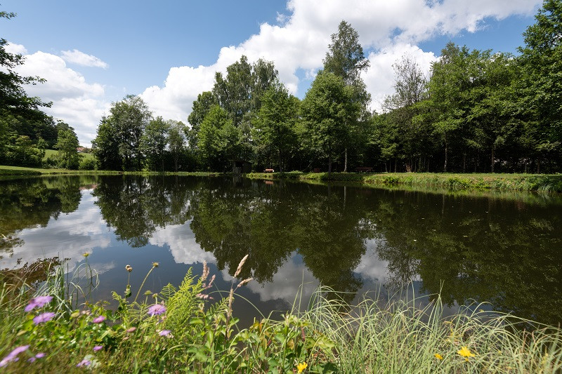 peche-etangs-aiguier-et-lamboley-4