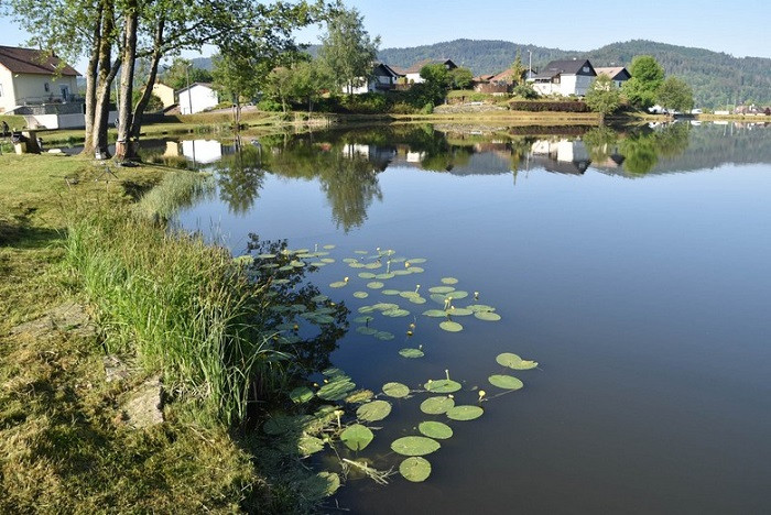 peche-etang-de-chaume peche-etang-de-chaume