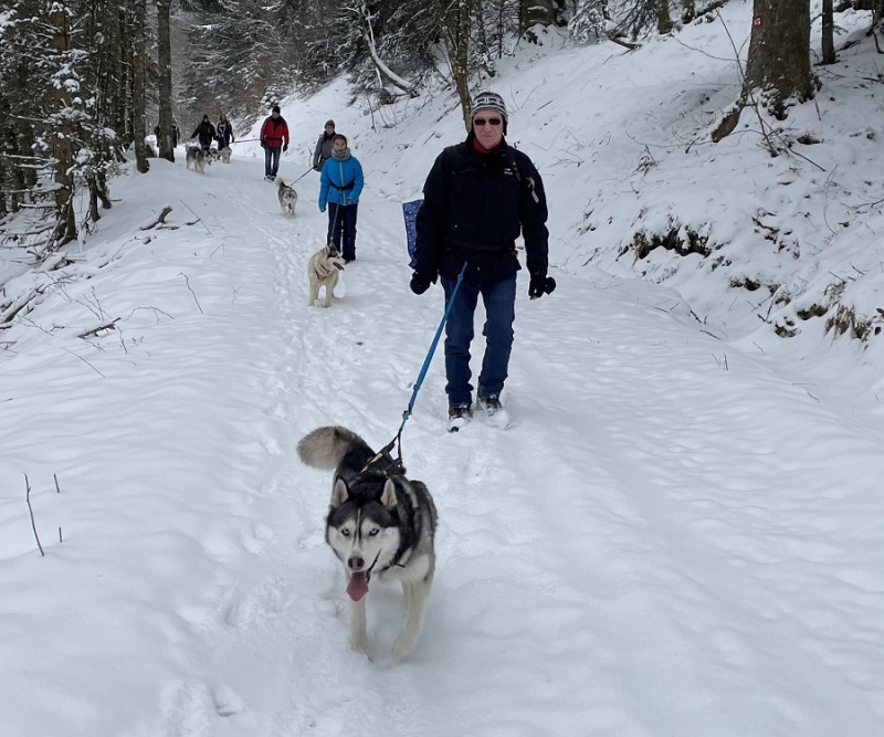 cani-rando-energie-canine cani-rando-energie-canine