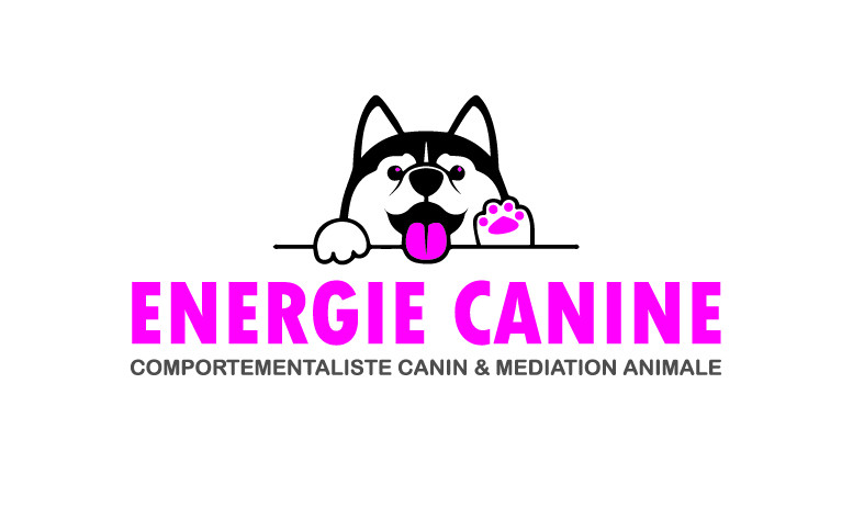 cani-rando-energie-canine-2 cani-rando-energie-canine-2