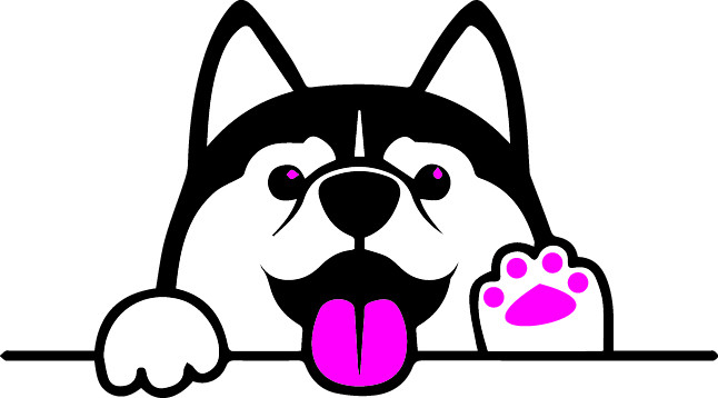 cani-rando-energie-canine-9 cani-rando-energie-canine-9