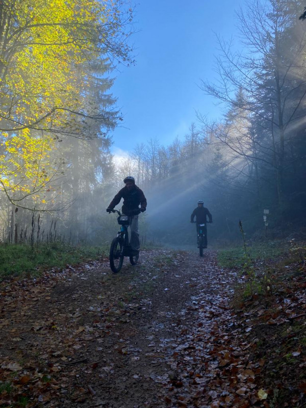 trott-in-vosges-4