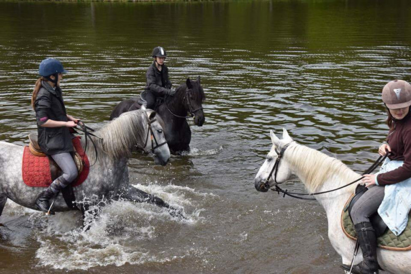 centre-equestre-la-jumenterie-saint-maurice-sur-moselle-6 centre-equestre-la-jumenterie-saint-maurice-sur-moselle-6