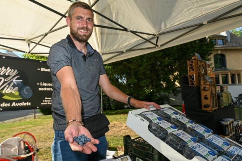 les-vergers-des-avollets-7 les-vergers-des-avollets-7