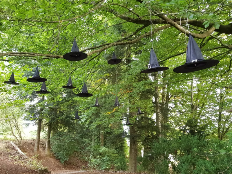 746002745_10 746002745_10