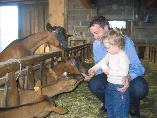 chevrerie-brabant-la-bresse-7 chevrerie-brabant-la-bresse-7