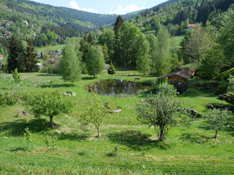 complicites-animales-ferme-pedagogique-ventron-1