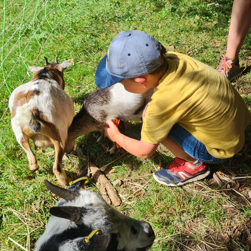 Ferme-pedagogique-complicites-animales-ventron-2 Ferme-pedagogique-complicites-animales-ventron-2