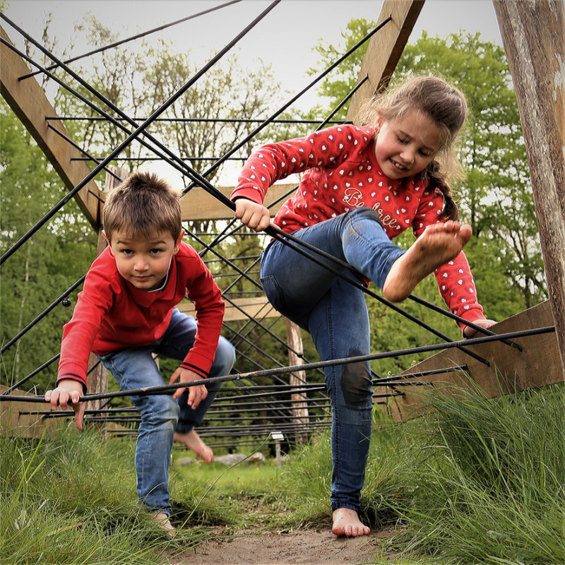 77800v3285_10 77800v3285_10