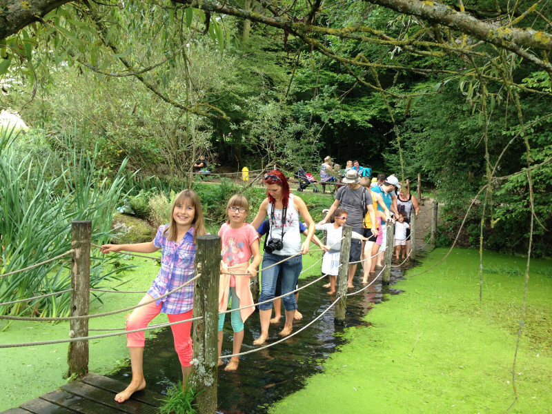 778003285_8 778003285_8