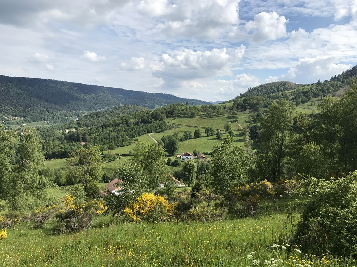 chambre-dhotes-aux-douces-heures-des-ves-le-thillot-7 chambre-dhotes-aux-douces-heures-des-ves-le-thillot-7