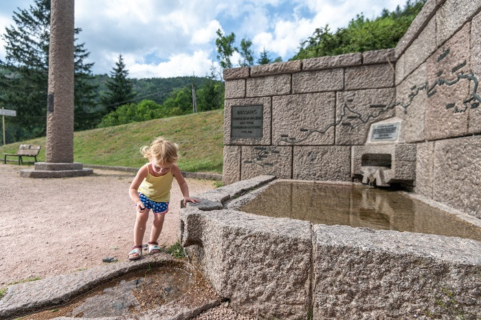 source-de-la-moselle-bussang-4 source-de-la-moselle-bussang-4