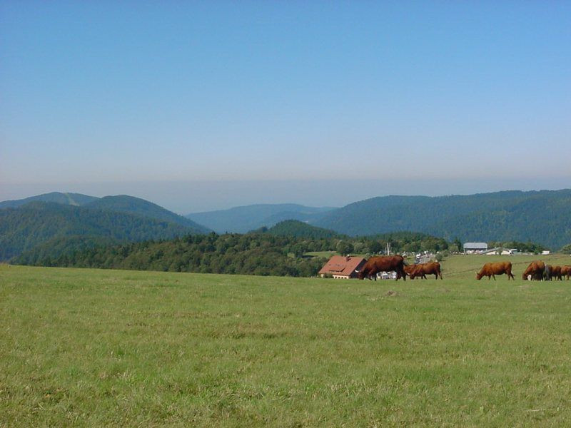ballon-d-alsace-saint-maurice-sur-moselle-2