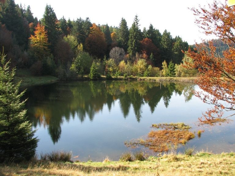 rouge-gazon-neufs-bois-saint-maurice-sur-moselle-2 rouge-gazon-neufs-bois-saint-maurice-sur-moselle-2
