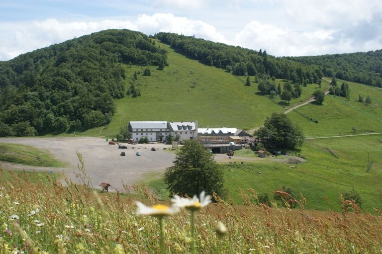 rouge-gazon-neufs-bois-saint-maurice-sur-moselle-1 rouge-gazon-neufs-bois-saint-maurice-sur-moselle-1