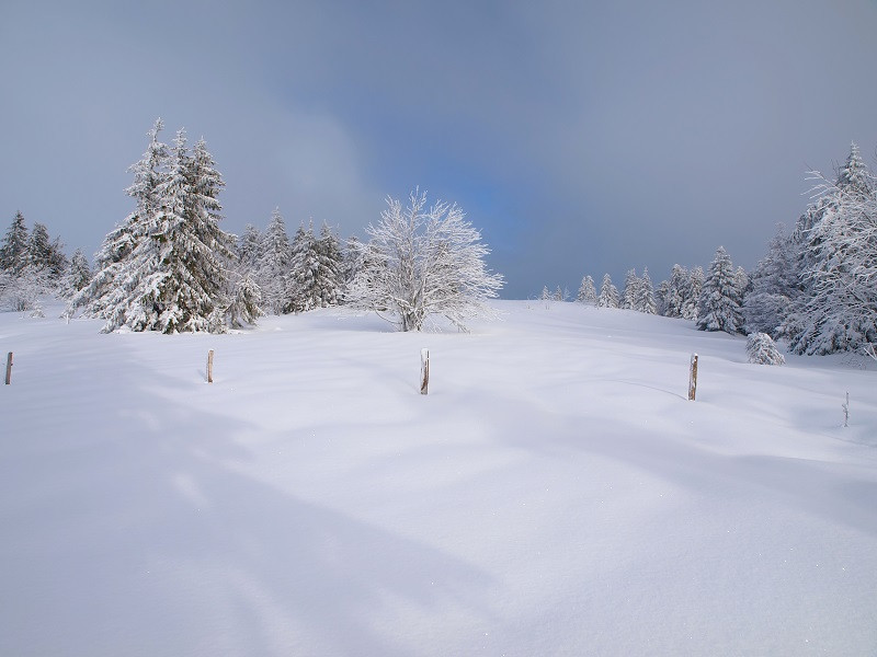 ballon-de-servance-8 ballon-de-servance-8