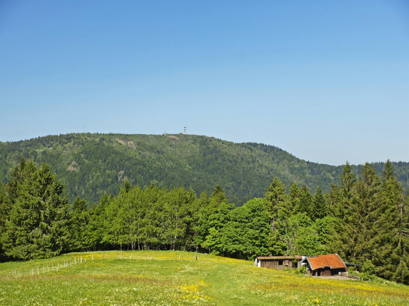 ballon-de-servance-10 ballon-de-servance-10