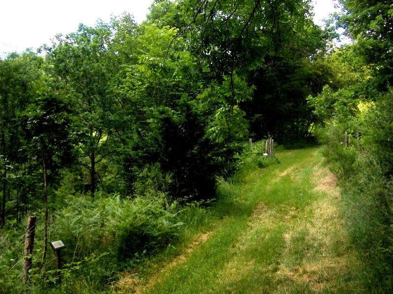Arboretum-Fresse-sur-Moselle-2 Arboretum-Fresse-sur-Moselle-2