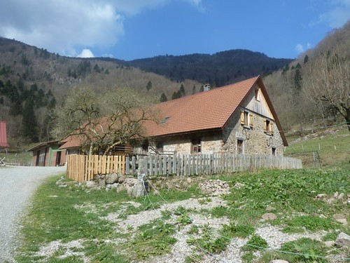 ferme-auberge-hinteralfeld ferme-auberge-hinteralfeld